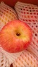 京鮮生 山東煙臺紅富士蘋(píng)果 9斤裝單果80-85mm 生鮮水果 源頭直發(fā) 曬單實(shí)拍圖
