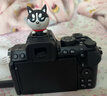 尼康（Nikon）Z50II/z50二代/z502入門(mén)級微單相機 尼康云創(chuàng  )Vlog自拍高清旅游照相機Z50II套機/拆單機 Z50II 16-50 F3.5-6.3 VR 套機 官方標配 曬單實(shí)拍圖
