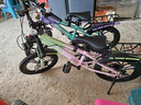 飛鴿兒童自行車(chē)6-12-18歲青少年山地車(chē)男女孩學(xué)生單車(chē)青紫20寸變速體 曬單實(shí)拍圖