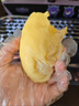 新鮮水果帶殼鮮果泰國金枕軟糯香甜應季巴掌榴蓮肉順豐 2-3斤單果裝(包三房肉) 曬單實(shí)拍圖