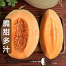 海南哈密瓜新鮮10斤正宗沙地西州蜜25號網(wǎng)紋蜜瓜一箱當季水果 9-10斤2-4個(gè)瓜凈重8-9斤 曬單實(shí)拍圖