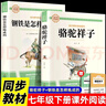 全2冊 駱駝祥子+鋼鐵是怎樣煉成的 贈考點(diǎn)手冊 七年級下冊閱讀書(shū)籍  人教版配套教材課外閱讀書(shū)籍 初一課外閱讀寒假閱讀課外書(shū) 曬單實(shí)拍圖