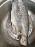 仙泉湖三去大白蕉海鱸魚(yú)2斤/條凈膛冷凍刺少肉厚海鮮水產(chǎn)生鮮食材 曬單實(shí)拍圖