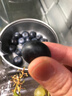 【當季限定】云南9分甜花香大藍莓250g 18mm+ 曬單實(shí)拍圖