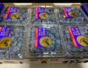 【整箱】云南高山大藍莓125g*12盒 18mm 曬單實(shí)拍圖