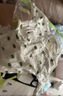 貝瑞加（Babyprints）嬰兒半背衣2件裝長(cháng)袖純棉寶寶上衣護肚和尚服家居內衣 白熊綠點(diǎn)52 曬單實(shí)拍圖