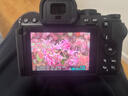 尼康（Nikon）【全網(wǎng)熱銷(xiāo)型】Z50II半畫(huà)幅新手入門(mén)級微單相機Z50 II 高清攝影攝像 直播美顏自拍z50二代便攜相機 Z50II 單機/未開(kāi)封原包裝（不含鏡頭） 標配【送膜+64G卡+相機包+ 曬單實(shí)拍圖