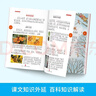 2026春年級閱讀一年級下冊繪本課堂一年級下第6版小學(xué)生繪本課堂年級閱讀人教版教材同步輔導資料一年級課外拓展閱讀書(shū) 曬單實(shí)拍圖
