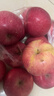 靜寧蘋(píng)果【送貨上門(mén)】甘肅紅富士蘋(píng)果水果新鮮時(shí)令應季現摘整箱孕婦水果 凈重6斤 80-85mm大果約12枚 曬單實(shí)拍圖