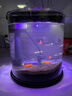 寵盒客廳魚(yú)缸超白智能水族箱家用造景側濾觀(guān)賞魚(yú)熱帶魚(yú)斗魚(yú)生態(tài)金魚(yú)缸 黑色圓型超白魚(yú)缸+造景大禮包 +豪華版濾材 曬單實(shí)拍圖