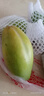 玖原農珍 海南當季大青皮金煌甜心芒果含箱5斤凈果4.5斤200-350g 生鮮水果 曬單實(shí)拍圖