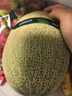 【產(chǎn)地直采】脆甜西州蜜瓜1粒約1.8kg 曬單實(shí)拍圖