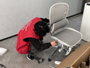 西昊C500I二代 人體工學(xué)椅AI智能追骶按摩電腦椅人工力學(xué)座椅辦公椅 曬單實(shí)拍圖