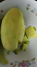 閩域尋鮮金煌芒新鮮芒果時(shí)令應季熱帶孕婦新鮮采摘皮薄云南金煌芒 5斤【精選實(shí)惠裝（210g+）】?jì)?.5斤 【多層保護】 曬單實(shí)拍圖