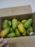小臺農芒果【多地次日達】小芒果新鮮水果整箱應當季海南熱帶水果 特級果【單果100g+】 5斤裝【超劃算】?jì)糁?.5斤 曬單實(shí)拍圖