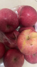 靜寧蘋(píng)果【送貨上門(mén)】甘肅紅富士蘋(píng)果水果新鮮時(shí)令應季現摘整箱孕婦水果 凈重6斤 80-85mm大果約12枚 曬單實(shí)拍圖