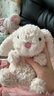Jellycat米色甜美小兔小短腿公仔動(dòng)物毛絨玩偶娃娃送禮生日禮物 甜美小兔 One Size 曬單實(shí)拍圖