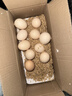 農家散養谷物土雞蛋50±5克/枚 30枚 曬單實(shí)拍圖