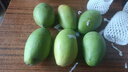 玖原農珍 源頭直采青皮金煌芒果當季現摘優(yōu)選甜心芒果 新鮮水果 含箱5斤凈重4.5斤優(yōu)選級果 曬單實(shí)拍圖