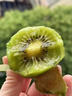甜萌果蔬徐香獼猴桃【現摘/多地極速達】陜西水果綠心整箱批發(fā)當季翡翠果 12枚【品鮮果】單果60g左右 曬單實(shí)拍圖