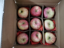 京覓洛川紅富士蘋(píng)果 9枚單果235g+ 陜西新鮮水果生鮮 源頭直發(fā) 曬單實(shí)拍圖