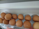【無(wú)抗】德青源A級鮮雞蛋15枚750g 曬單實(shí)拍圖