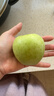 京鮮生 山東雀斑王林蘋(píng)果 凈重3.6斤 約9-11粒 生鮮水果 曬單實(shí)拍圖
