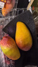 京地達海南芒果貴妃芒凈重5斤單果150g+新鮮芒果應季水果源頭直發(fā)包郵 曬單實(shí)拍圖