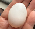 硒全食美 富硒精品新鮮鴿子蛋 30枚 550g 孕婦兒童寶寶鴿子蛋 曬單實(shí)拍圖