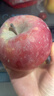 京鮮生 塞外紅 阿克蘇蘋(píng)果 凈重10斤 單果230g起 生鮮水果 曬單實(shí)拍圖