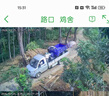 宗申三輪新款平座汽油宗申水冷發(fā)動(dòng)機燃油三輪摩托車(chē) 可升自卸 包郵 宗申三輪平座風(fēng)冷或水冷摩托整車(chē)發(fā)貨定制 曬單實(shí)拍圖