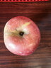 阿克蘇蘋(píng)果新疆阿克蘇冰糖心蘋(píng)果 當季應季新鮮時(shí)令水果整箱紅富士丑蘋(píng)果 10斤【精品大果】 單果80-90mm 凈重8.5斤 曬單實(shí)拍圖