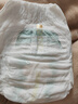 babycare一整夜拉拉褲嬰兒夜用大吸量透氣寶寶尿不濕 L 1包 38片 【體重9-14KG】 曬單實(shí)拍圖