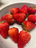 【產(chǎn)地直采】丹東紅顏草莓大果500g 單果18g+ 曬單實(shí)拍圖