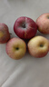 京鮮生 紅旗坡阿克蘇蘋(píng)果 凈重8斤 單果130g+ 生鮮水果 曬單實(shí)拍圖