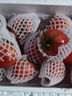 沙瓤西紅柿【當季現摘】高山現摘西紅柿新鮮水果蔬菜 凈重 5斤 店長(cháng)推薦裝【單果70g+】 曬單實(shí)拍圖