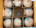 佳農泰國進(jìn)口椰青 6粒單果約800g 贈開(kāi)椰器吸管新鮮水果源頭直發(fā) 曬單實(shí)拍圖