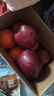 甘肅天水花牛蘋(píng)果高山蘋(píng)果寶寶輔食老人粉面蘋(píng)果軟糯香甜 帶箱1斤凈重0.6斤65-70mm 曬單實(shí)拍圖