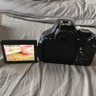 佳能/Canon EOS 600D 650D 700D 800D學(xué)生入門(mén)級二手單反相機高清旅游相機 佳能600D 18-55 標準套機 95新 曬單實(shí)拍圖