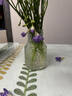 花瓶插花水養玻璃高顏值手工大口徑花瓶客廳臥室擺件 大肚水波紋花瓶1個(gè)裝 曬單實(shí)拍圖