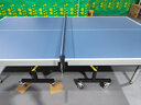 雙魚(yú)（DOUBLE FISH） 乒乓球桌室內可折疊移動(dòng)式乒乓球臺家用訓練比賽標準乒乓球案子 233 ITTF認證25MM 曬單實(shí)拍圖