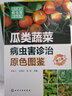 瓜類(lèi)蔬菜病蟲(chóng)害診治原色圖鑒 第3版 化學(xué)工業(yè)出版社 高振江,呂佩珂,高娃 編 現代蔬菜病蟲(chóng)害防治叢書(shū) 書(shū)籍 圖書(shū) 曬單實(shí)拍圖
