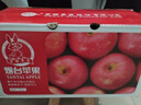 京鮮生 煙臺紅富士蘋(píng)果 凈重10斤 單果220g以上 禮盒裝 生鮮水果 曬單實(shí)拍圖