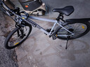 喜德盛（xds）山地自行車(chē)26款旭日310運動(dòng)健身學(xué)生青少年成人騎行變速輕便單車(chē) 26款旭日310石巖灰17寸 曬單實(shí)拍圖