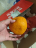 京鮮生 四川春見(jiàn)耙耙柑 凈重8.5-9斤水果禮盒 單果170g+ 源頭直發(fā)包郵 曬單實(shí)拍圖