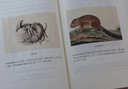 【官方旗艦店】它們的性 深圳讀書(shū)月“年度十大好書(shū)” 牛津博士王大可研究100種動(dòng)物性行為 反思人類(lèi)該如何愛(ài) 如何活 曬單實(shí)拍圖