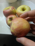 京喜加 紅富士蘋(píng)果今年新果 脆甜可口 新鮮采摘 產(chǎn)地直發(fā) 4個(gè)嘗鮮裝凈重1斤單果65mm+ 曬單實(shí)拍圖