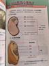 混知官方混知漫畫(huà)初中小四門(mén)早知道(生物地理歷史道法)小升初孩子預習救星百科一本通初中知識趣味漫畫(huà)書(shū)混子哥推薦！ 初中小四門(mén)早知道（全4冊） 曬單實(shí)拍圖