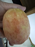 佳沛（zespri）新西蘭 新果季海運 巨無(wú)霸紅奇異果 15粒單果146-175g 獼猴桃 曬單實(shí)拍圖