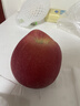 京鮮生 煙臺紅富士蘋(píng)果 凈重10斤 單果220g以上 禮盒裝 生鮮水果 曬單實(shí)拍圖
